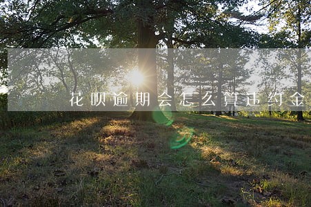 花呗逾期会怎么算违约金