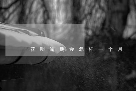 花呗逾期会怎样一个月 花呗逾期会怎样一个月