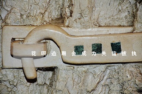 花呗逾期会成为失信被执行人 花呗逾期会成为失信被执行人