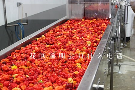 花呗逾期会打什么电话 花呗逾期会打什么电话