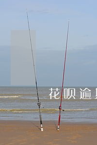 花呗逾期会打你哪个手机号 花呗逾期会打你哪个手机号