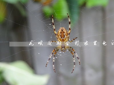 花呗逾期会打家里电话吗