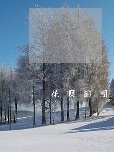 花呗逾期会打电话来么 花呗逾期会打电话来么