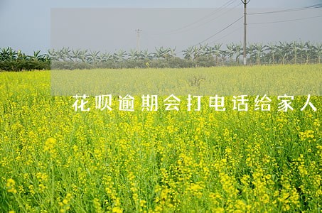 花呗逾期会打电话给家人么 花呗逾期会打电话给家人么