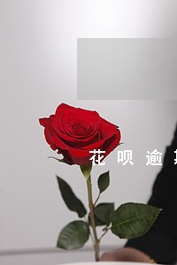 花呗逾期会打电话黑家里人吗 花呗逾期会打电话黑家里人吗