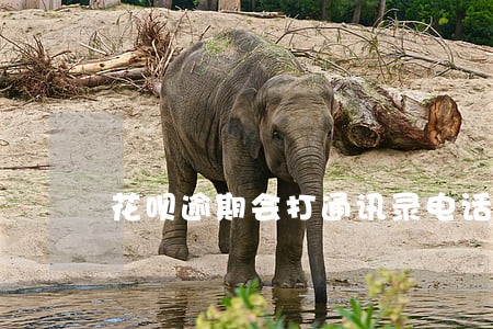 花呗逾期会打通讯录电话吗 花呗逾期会打通讯录电话吗
