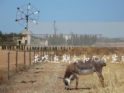 花呗逾期会扣几分芝麻信用 花呗逾期会扣几分芝麻信用
