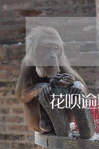 花呗逾期会扣款吗