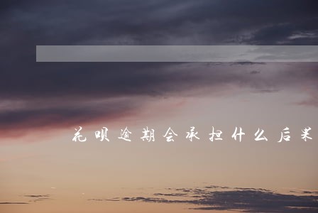 花呗逾期会承担什么后果 花呗逾期会承担什么后果