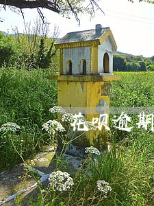 花呗逾期会把电话卡停掉吗 花呗逾期会把电话卡停掉吗