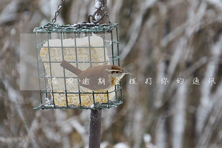 花呗逾期会拨打你的通讯录吗 花呗逾期会拨打你的通讯录吗