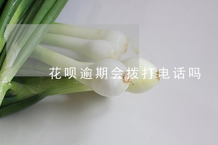 花呗逾期会拨打电话吗 花呗逾期会拨打电话吗