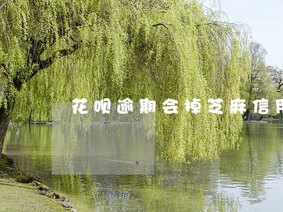 花呗逾期会掉芝麻信用分吗 花呗逾期会掉芝麻信用分吗