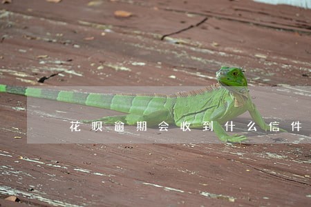 花呗逾期会收到什么信件吗 花呗逾期会收到什么信件吗