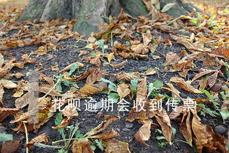花呗逾期会收到传票 花呗逾期会收到传票