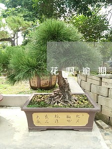 花呗逾期会收律师函吗 花呗逾期会收律师函吗