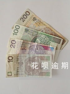 花呗逾期会有人上门催收吗 花呗逾期会有人上门催收吗