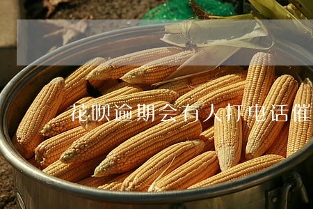 花呗逾期会有人打电话催款吗 花呗逾期会有人打电话催款吗