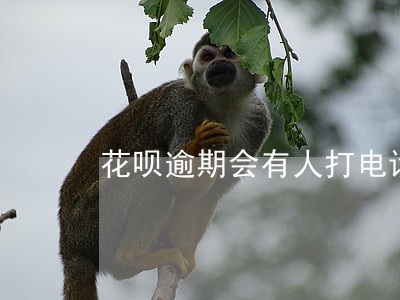 花呗逾期会有人打电话催要吗 花呗逾期会有人打电话催要吗