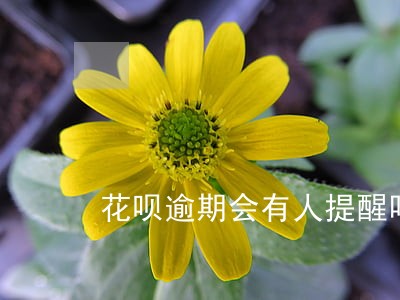 花呗逾期会有人提醒吗 花呗逾期会有人提醒吗