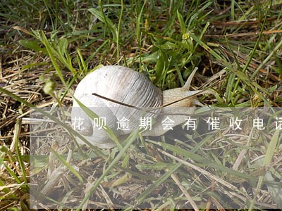 花呗逾期会有催收电话吗 花呗逾期会有催收电话吗