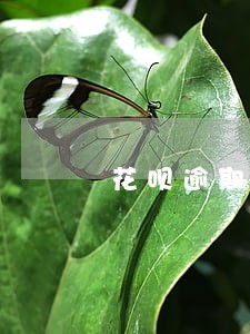 花呗逾期会有提醒吗 花呗逾期会有提醒吗