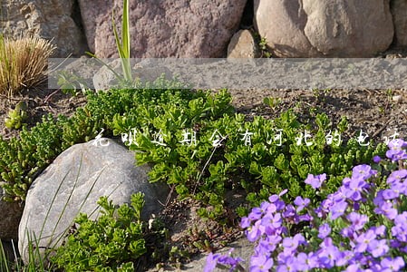 花呗逾期会有河北的电话吗 花呗逾期会有河北的电话吗