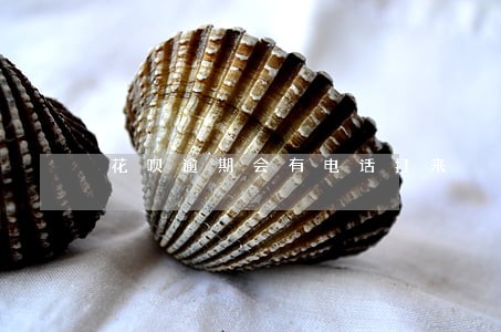 花呗逾期会有电话打来 花呗逾期会有电话打来