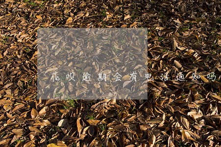 花呗逾期会有电话通知吗 花呗逾期会有电话通知吗