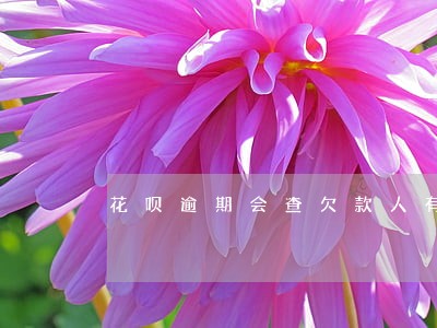 花呗逾期会查欠款人有房产吗 花呗逾期会查欠款人有房产吗