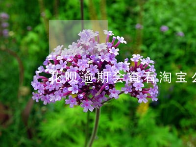 花呗逾期会查看淘宝么 花呗逾期会查看淘宝么
