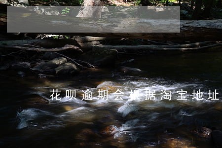 花呗逾期会根据淘宝地址上门吗 花呗逾期会根据淘宝地址上门吗