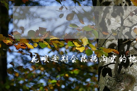 花呗逾期会根据淘宝的地址上门吗