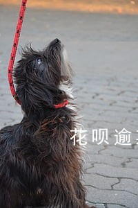 花呗逾期会淘宝订单 花呗逾期会淘宝订单