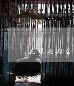 花呗逾期会爆你通讯录吗 花呗逾期会爆你通讯录吗