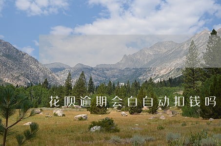 花呗逾期会白自动扣钱吗 花呗逾期会白自动扣钱吗