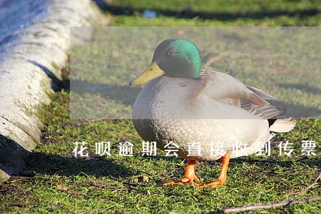 花呗逾期会直接收到传票吗 花呗逾期会直接收到传票吗