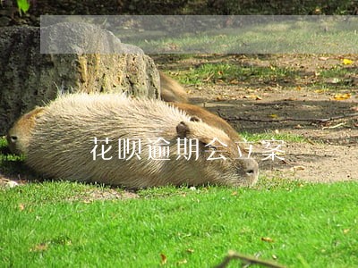 花呗逾期会立案 花呗逾期会立案