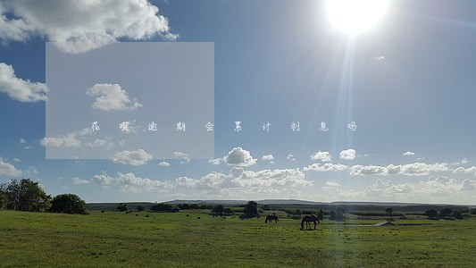花呗逾期会累计利息吗 花呗逾期会累计利息吗