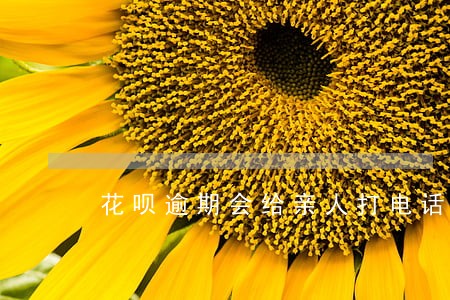 花呗逾期会给亲人打电话么 花呗逾期会给亲人打电话么