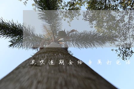 花呗逾期会给亲属打电话吗 花呗逾期会给亲属打电话吗