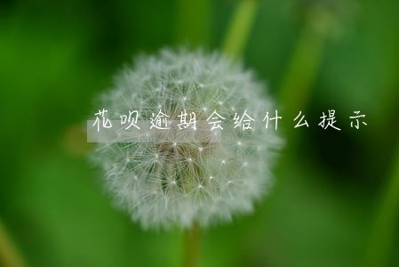 花呗逾期会给什么提示