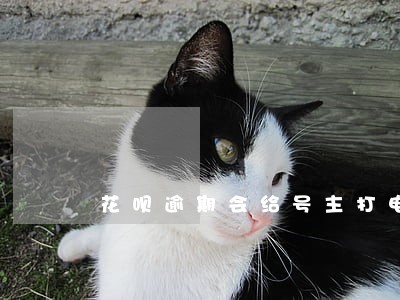 花呗逾期会给号主打电话吗 花呗逾期会给号主打电话吗