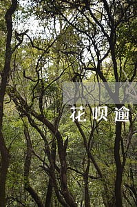 花呗逾期会给同学打电话 花呗逾期会给同学打电话
