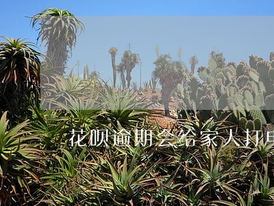 花呗逾期会给家人打电话嘛 花呗逾期会给家人打电话嘛