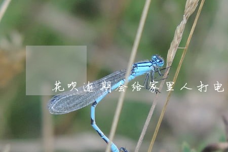花呗逾期会给家里人打电话嘛 花呗逾期会给家里人打电话嘛