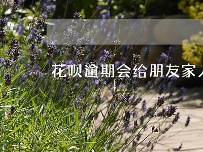 花呗逾期会给朋友家人打电话吗 花呗逾期会给朋友家人打电话吗