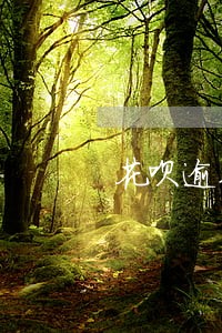 花呗逾期会给朋友打电话嘛 花呗逾期会给朋友打电话嘛
