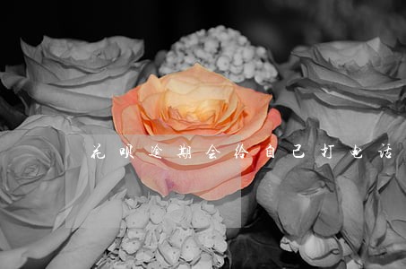 花呗逾期会给自己打电话么 花呗逾期会给自己打电话么