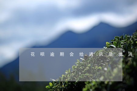 花呗逾期会给通讯录发消息不 花呗逾期会给通讯录发消息不